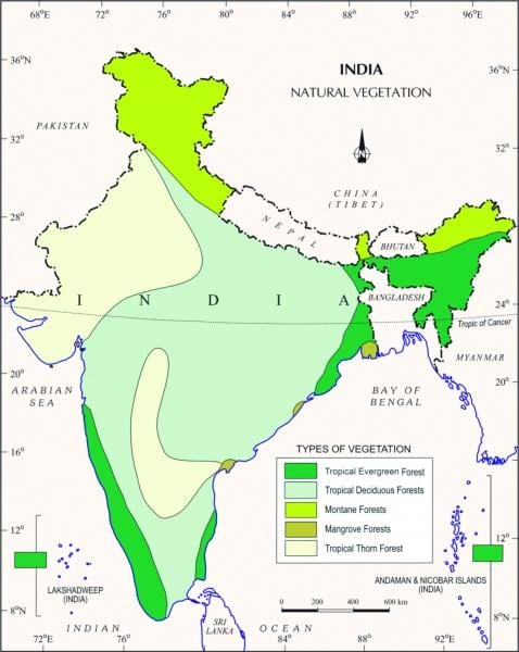 Karte von mangrove forest in Indien