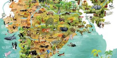 Indien wildlife Karte